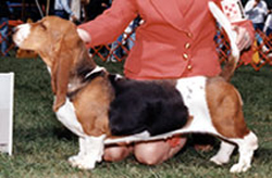 holly250