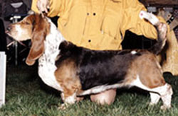 lettie250